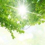 Profile photo of Tea Kunovac